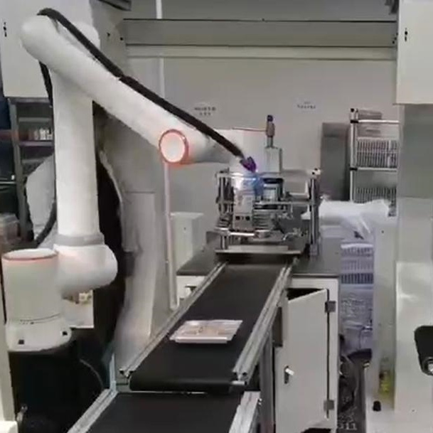 Collaborative Robot Arm for Palletizing, Industrial Robotic Arm for Box Stacking and Material Handling