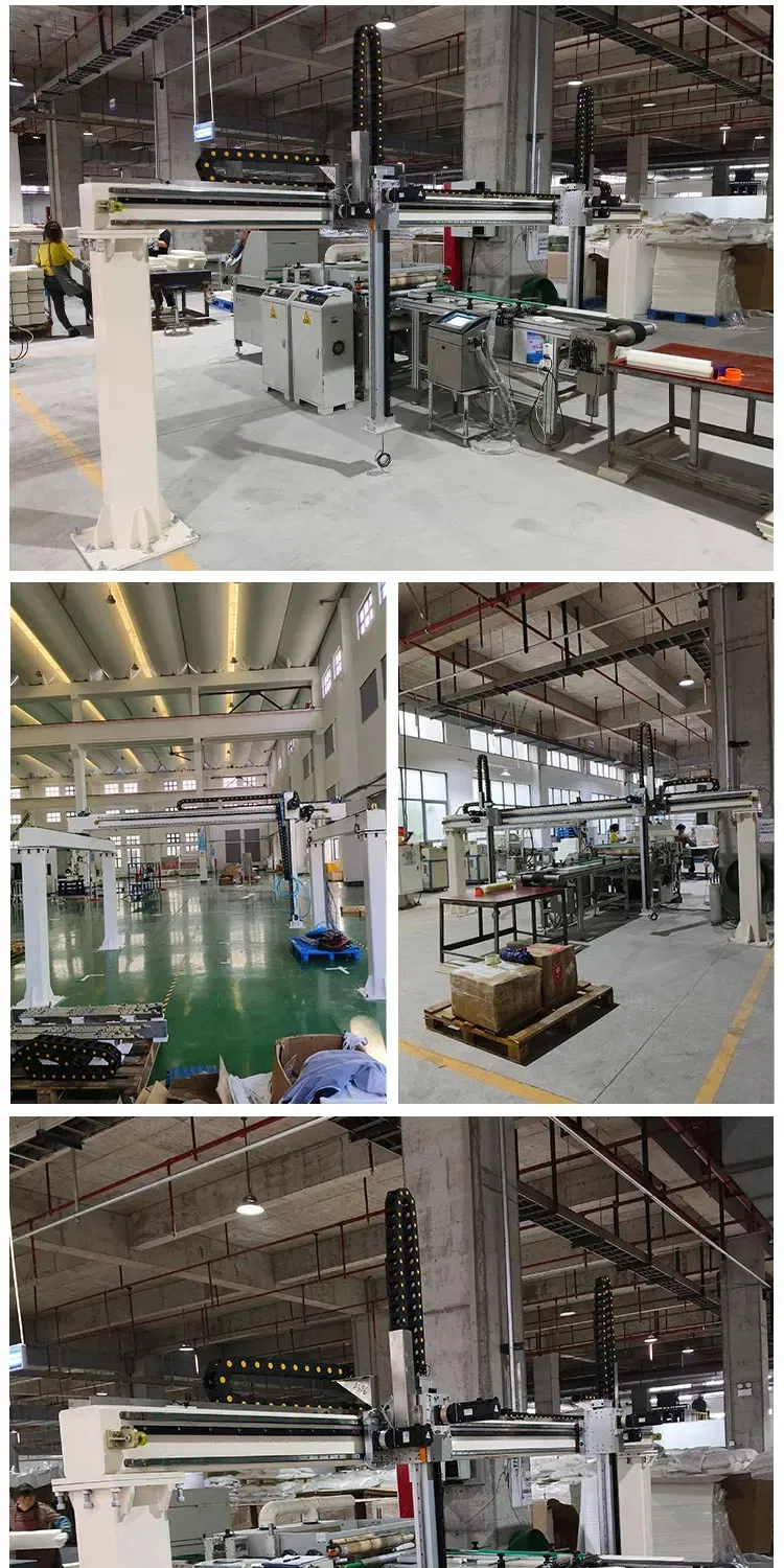 Heavy Duty Custom Xyz Rack and Pinion Gantry System for Automotive Welding