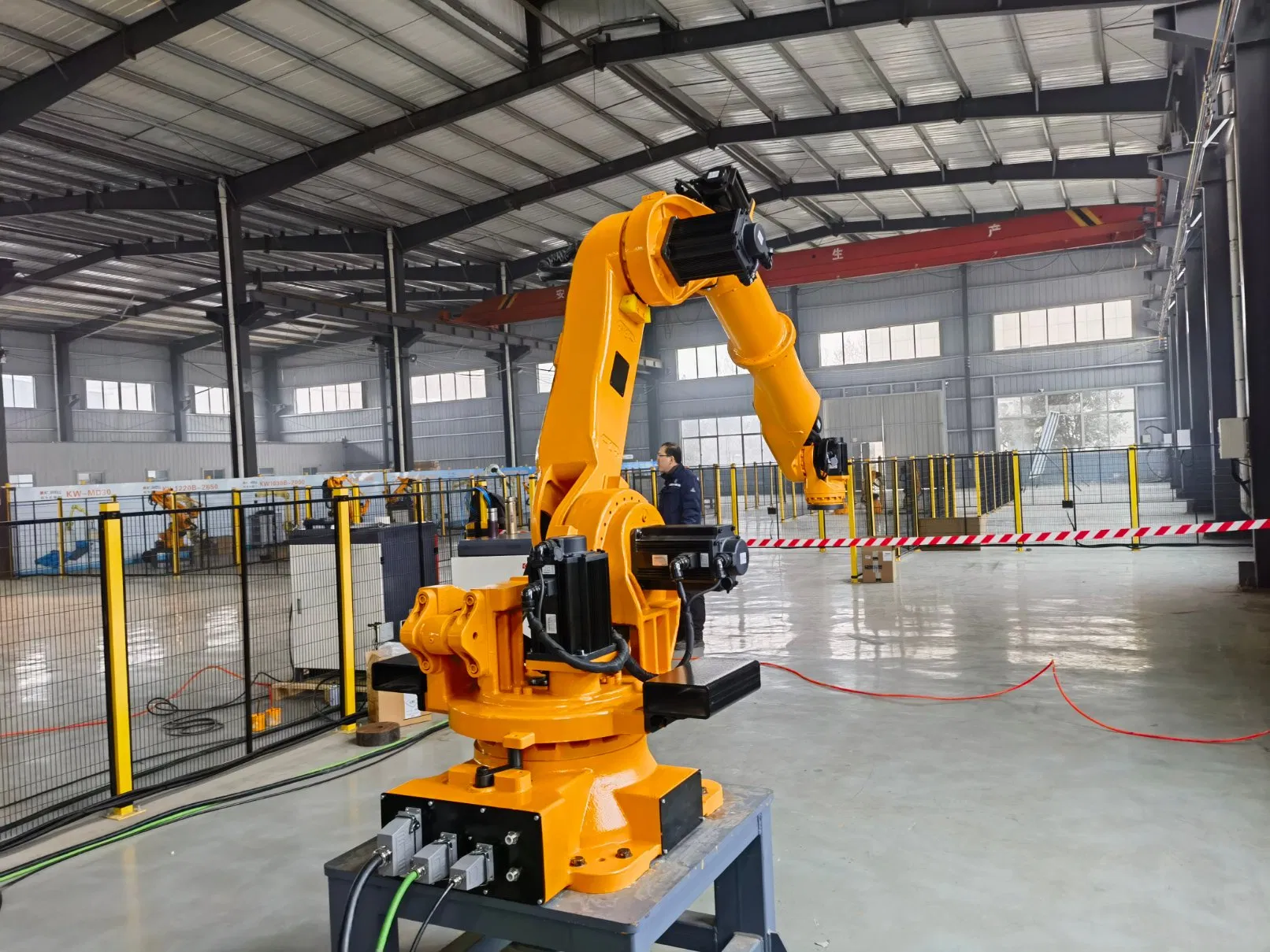 Advanced Palletizing System for Efficient Warehouse Operations