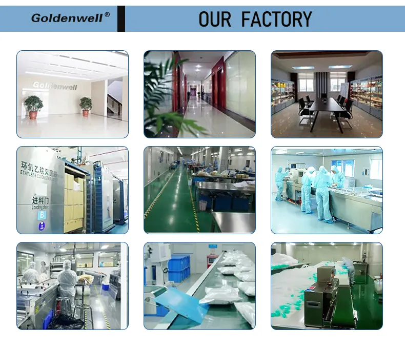 Anaesthesia Breathing Circuit 10