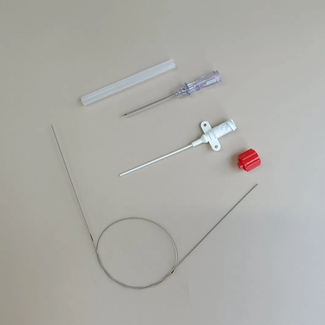 Catheter Kit Detail 1