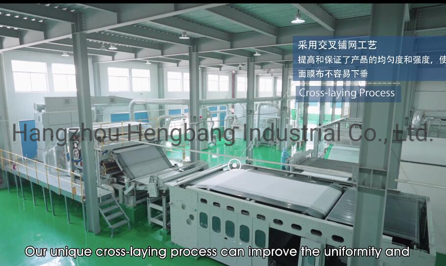 Biodegradable Invisible Nonwoven Facial Face Mask Paper Sheet