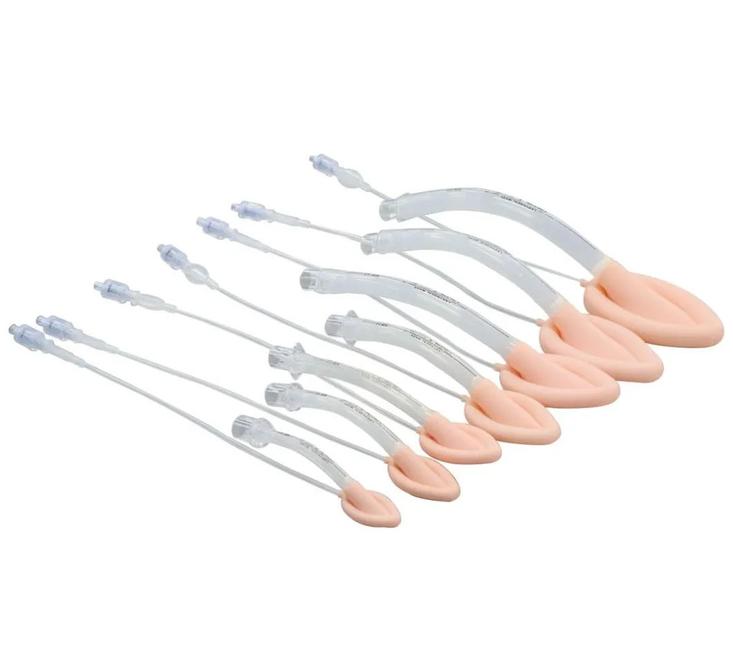 Laryngeal Mask Main View