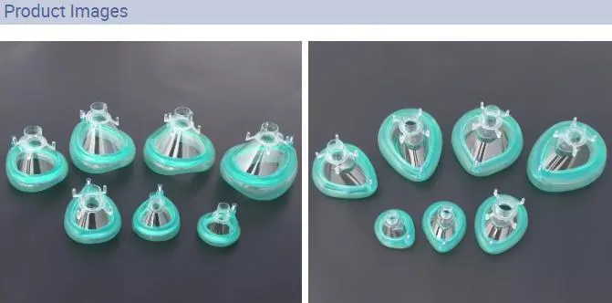 Anaesthesia Mask View 1