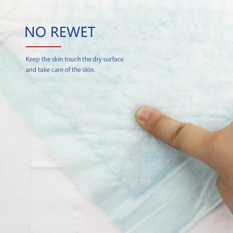 Absorbent Layer Detail