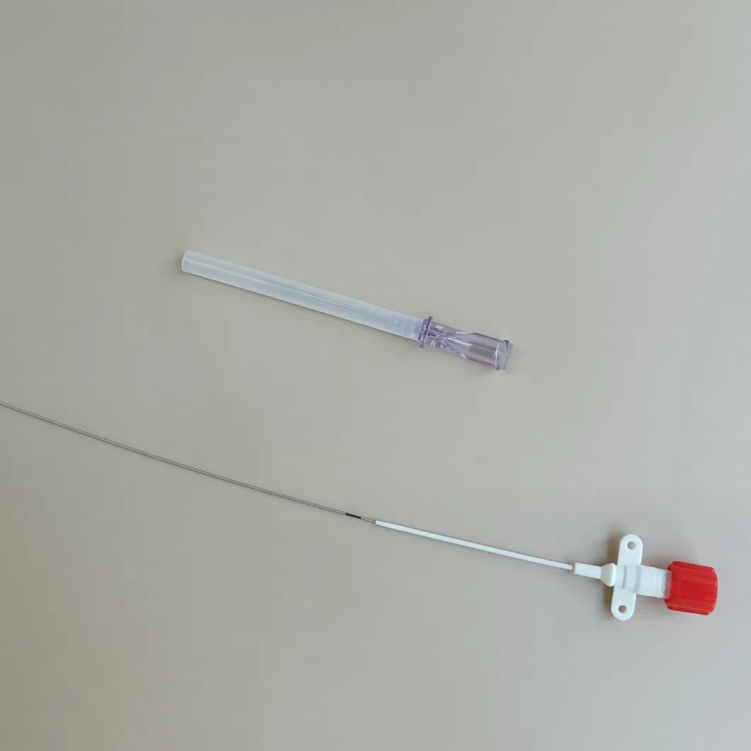 Catheter Kit Detail 2