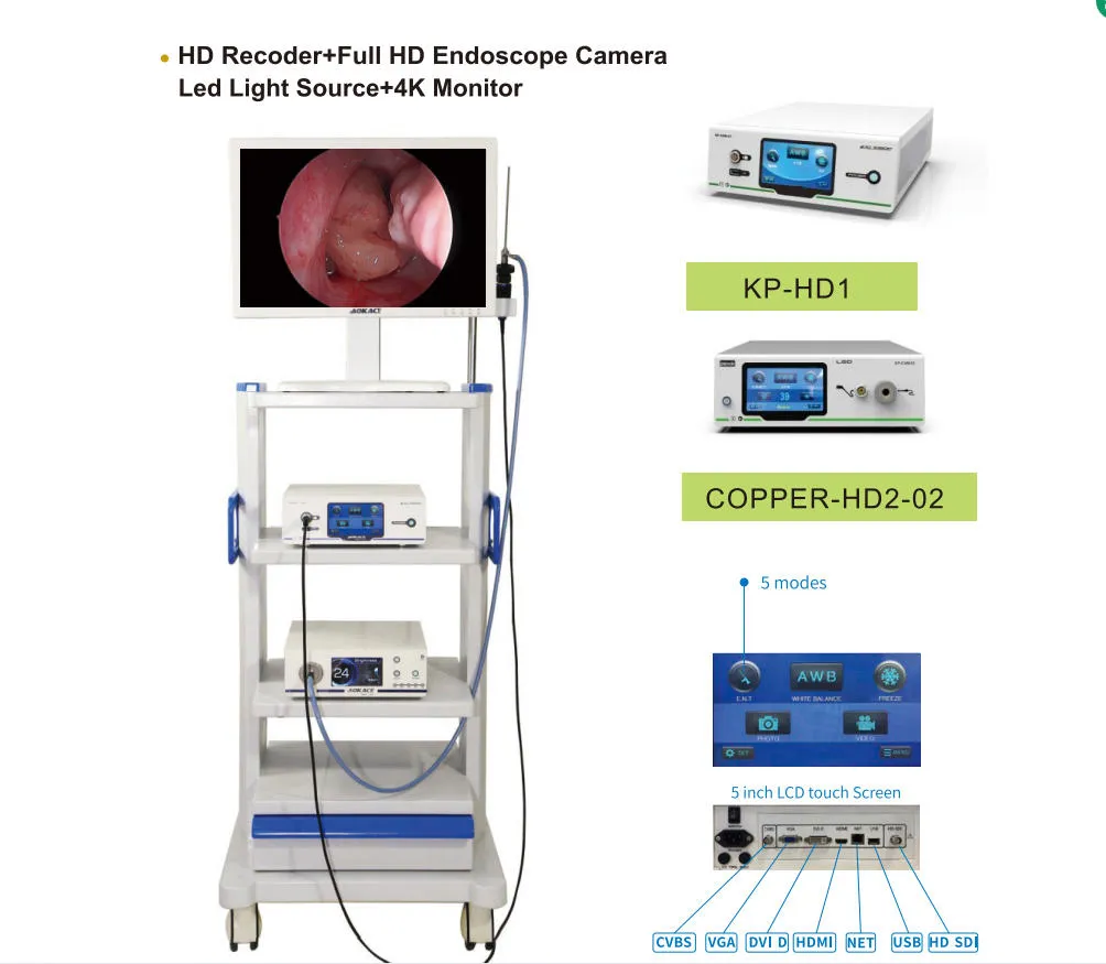 Endoscope System Overview