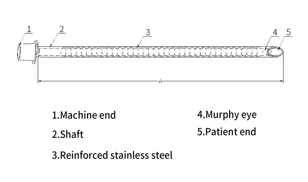 Tracheal Tube Ventilation