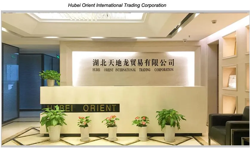 Head Office Facility