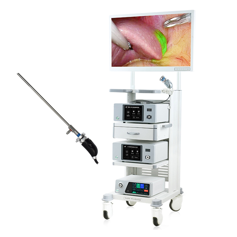 Medical Diagnostic Choledochoscopy Endoscopic Instrument Endoscopy Equipment 4K Flourescent Endoscope Camera System