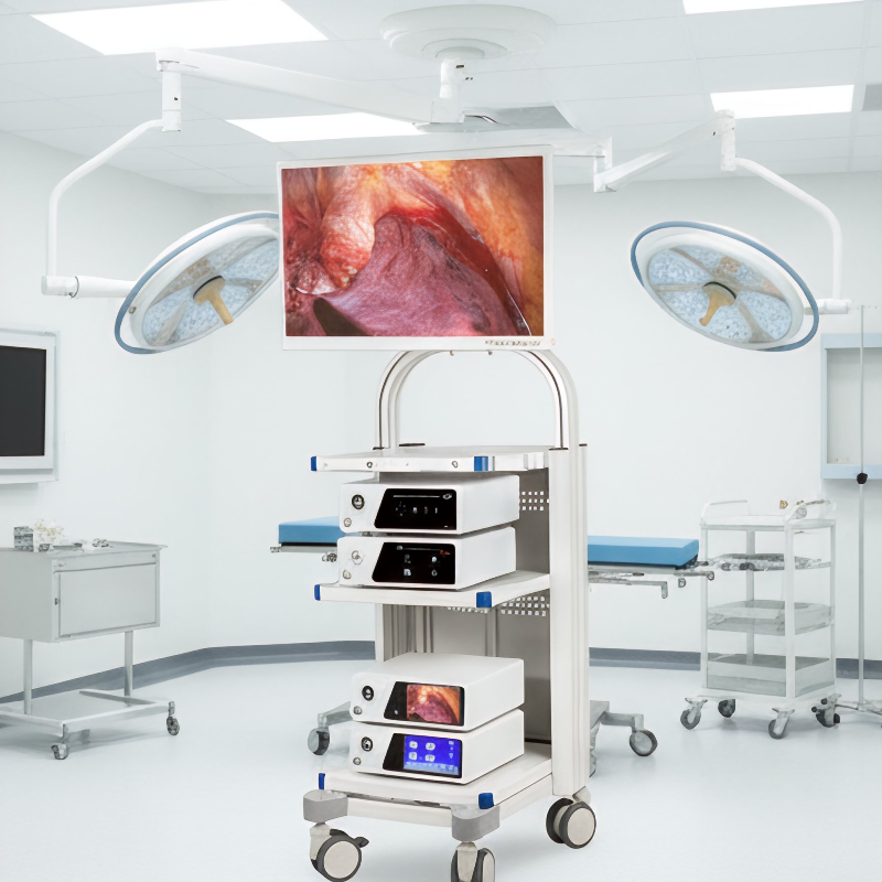 Otoscopy Surgical Instrument Endoscopy Device 4K Flourescent Endoscopic Camera System