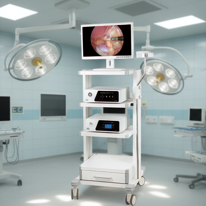Cystoscopy Surgical Instrument Endoscopy Device 4K Flourescent Endoscopic Camera System