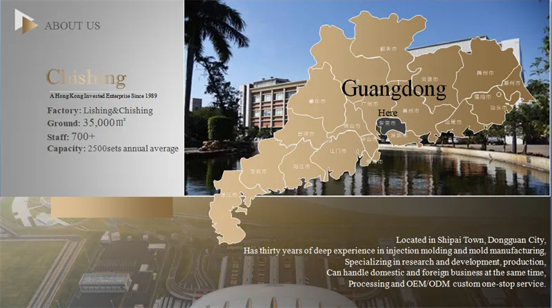 Injection Mold Product