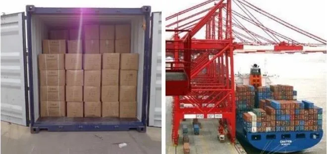 Anaesthesia Mask View 4