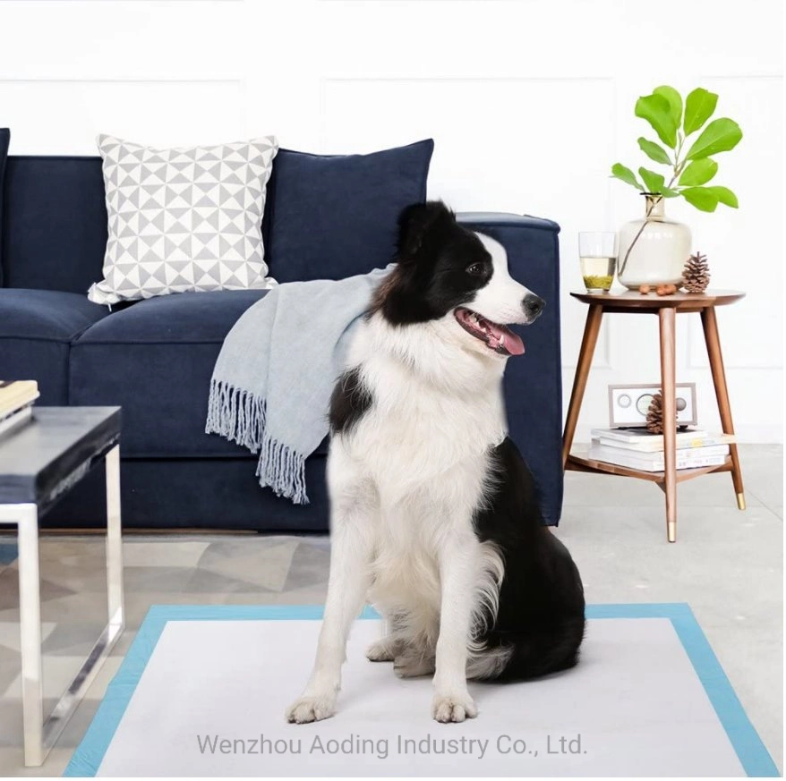 OEM Waterproof Medical Bed Sheet Absorbent Adult Incontinence Underpads Disposable Puppy PEE Dog Training Pet Pads