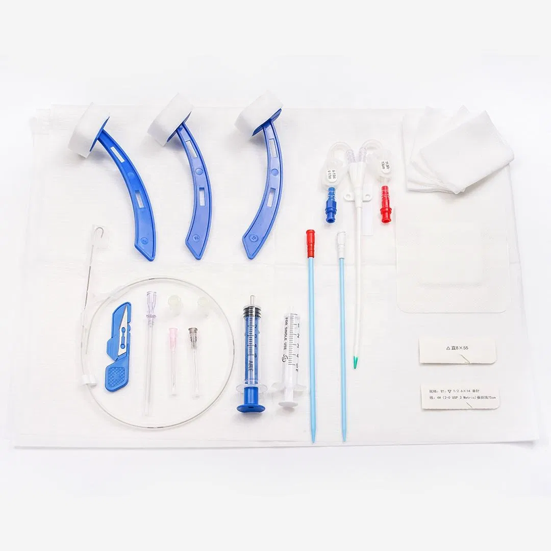 Medical Disposable Long Term Hemodialysis Catheter Set Blood Dialyzer Kit