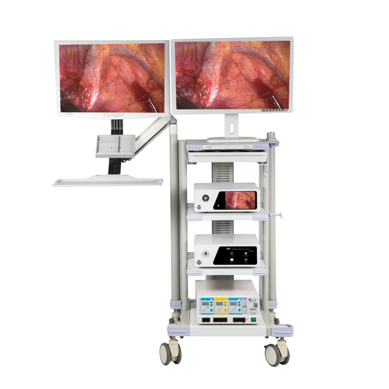 Medical Diagnostic Stomach Spinal Endoscopic Instrument Endoscopy Equipment 4K Flourescent Endoscope Camera System