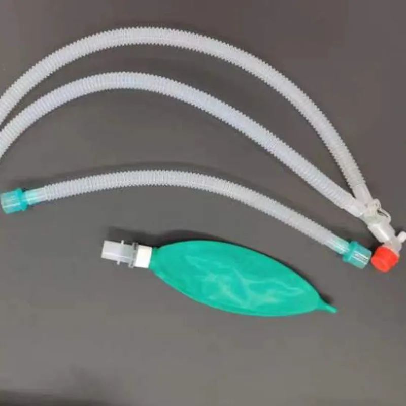 Anaesthesia Breathing Circuit