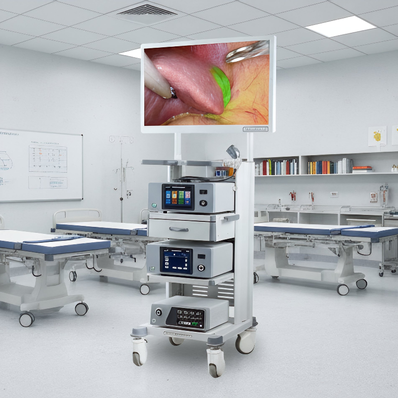 Advanced 4K Medical Endoscope System with Fluorescence Technology