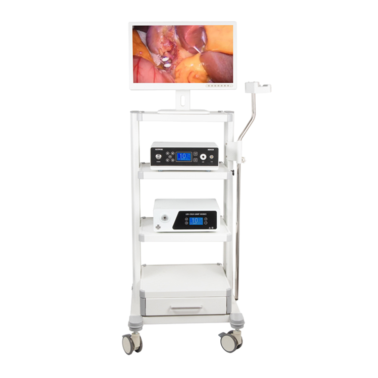 Cystoscopy Surgical Instrument Endoscopy Device 4K Flourescent Endoscopic Camera System