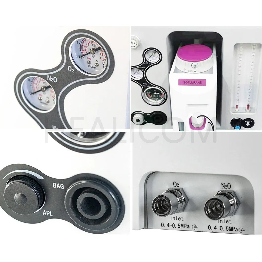 Multi-Function Medical Portable Veterinary Aneasthesia Machine Anesthesia System