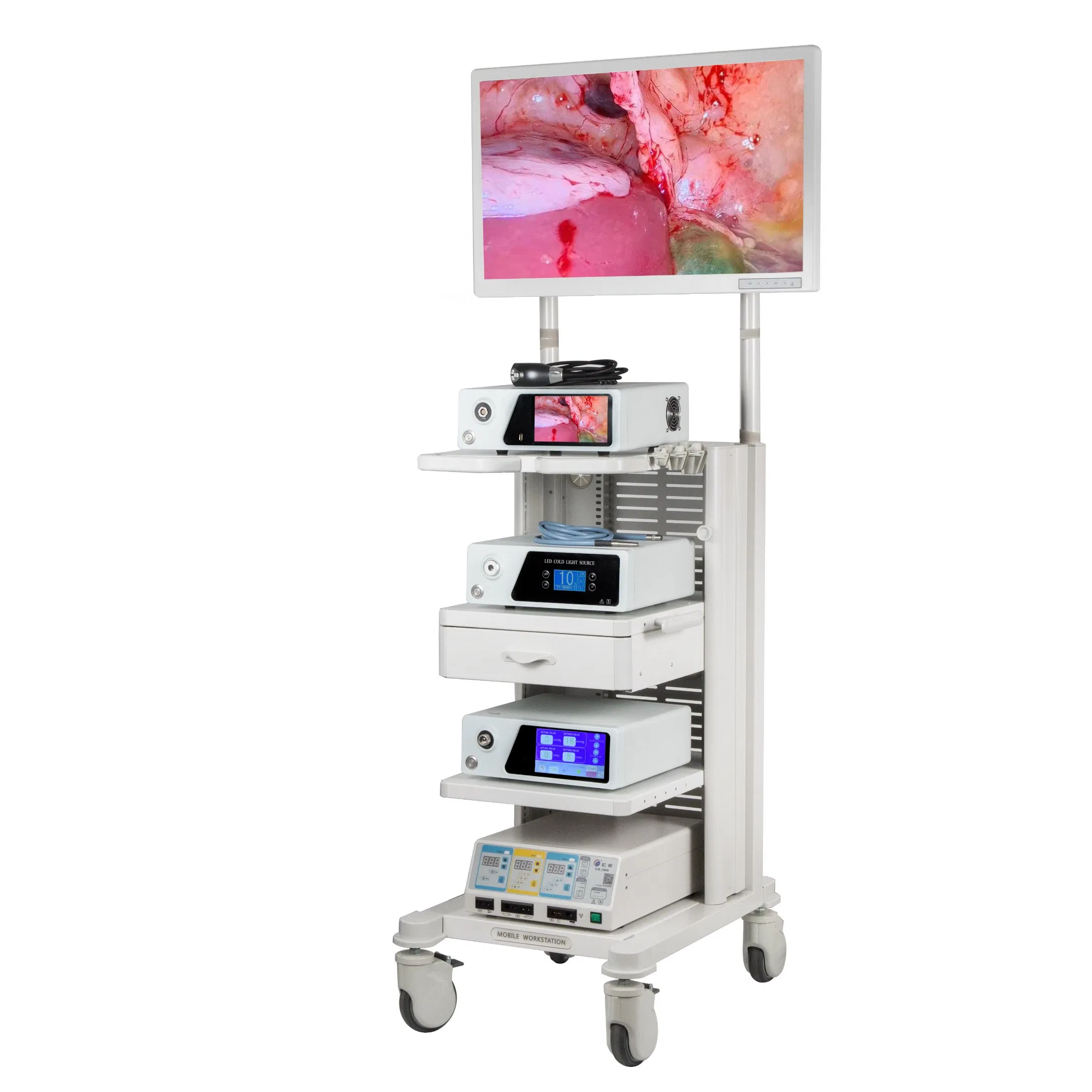 Medical Diagnostic Stomach Spinal Endoscopic Instrument Endoscopy Equipment 4K Flourescent Endoscope Camera System