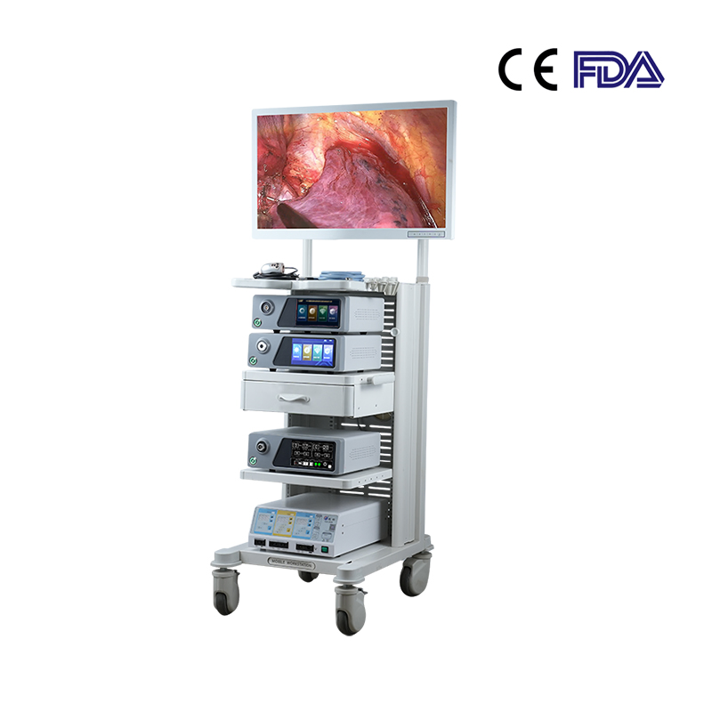 4K Ultra HD Output Medical Endoscope System with Display