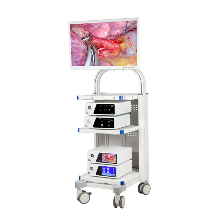 Medical Diagnostic Choledochoscopy Endoscopic Instrument Endoscopy Equipment 4K Flourescent Endoscope Camera System