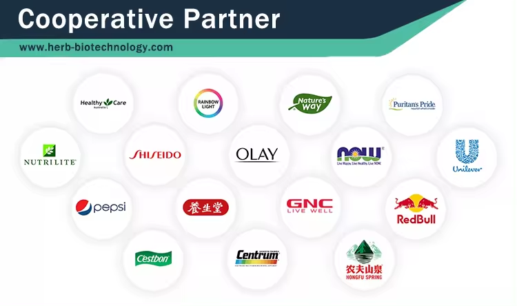 Company overview 1