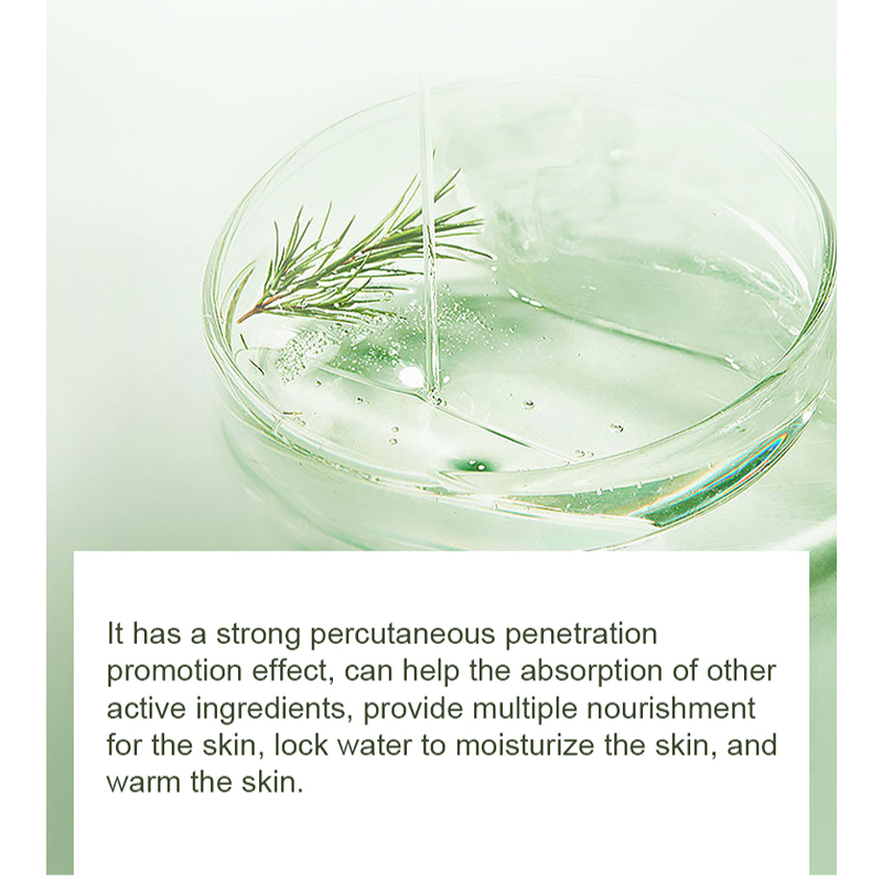 Private Label Organic the Ordinary Tea Tree Serum Skin Rejuvenation Anti Acne Serum Wholesale Custom Skin Care Face Oil Serum