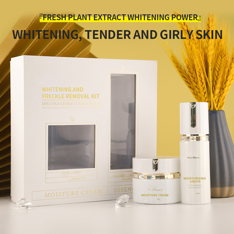 Niacinamide Brightening Moisturizing Skin Care Set Organic Freckles Remover Cream Kit Natural Beauty Gift Set OEM/ODM