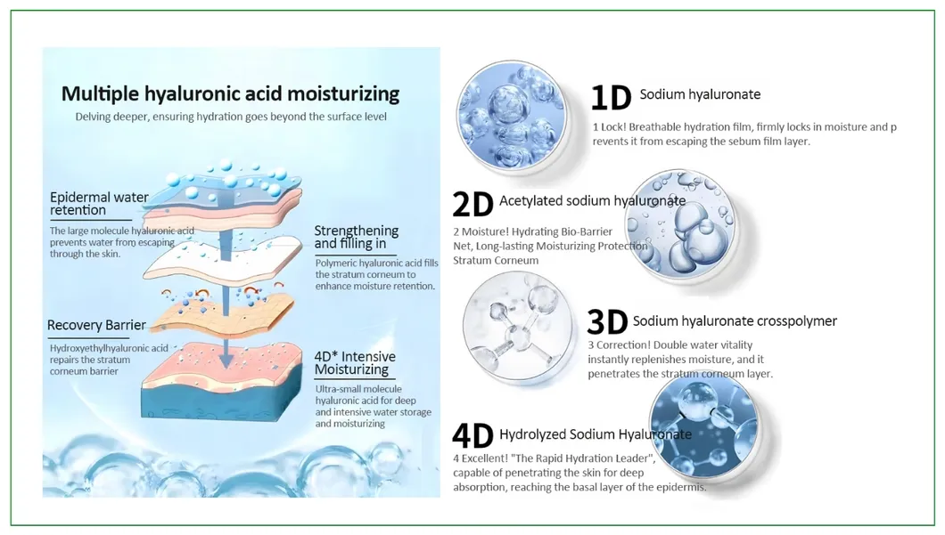 4D Hyaluronic Acid Structure