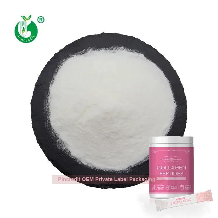 OEM Private Label Wholesale Food and Healthcare Grade Hydrolyzed Marine Fish Collagen Peptide Powder