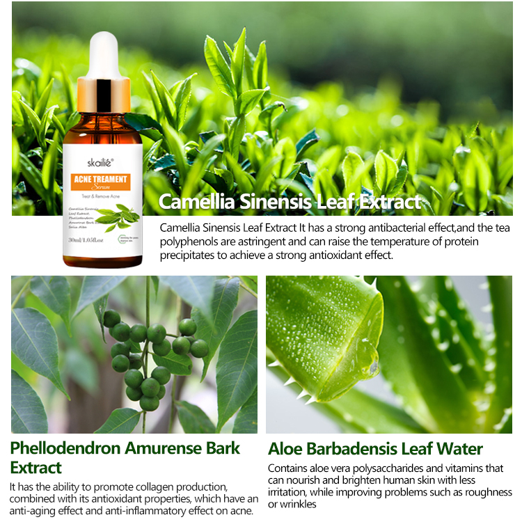 Ready to Ship Private Label Natural Plant Moisturizing Hydrating Repair Face Tea Tree Acne Serum