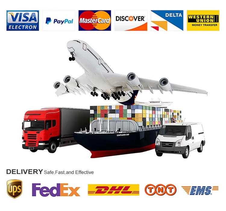 Delivery and Payment Information