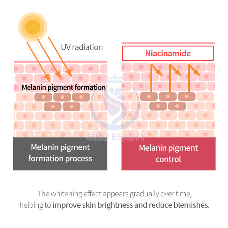 PDRN Solution Anti Inflammation Advanced Peptide Formula Dermatology Inspired Skincare for Weak Skin Barrier