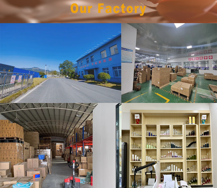 Company Profile 1