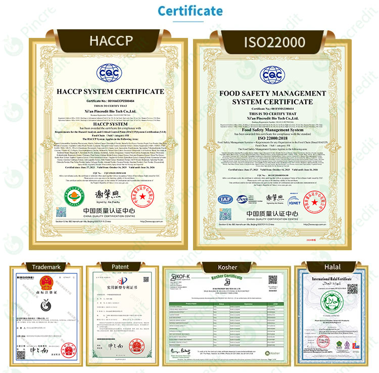 OEM Private Label Wholesale Food and Healthcare Grade Hydrolyzed Marine Fish Collagen Peptide Powder