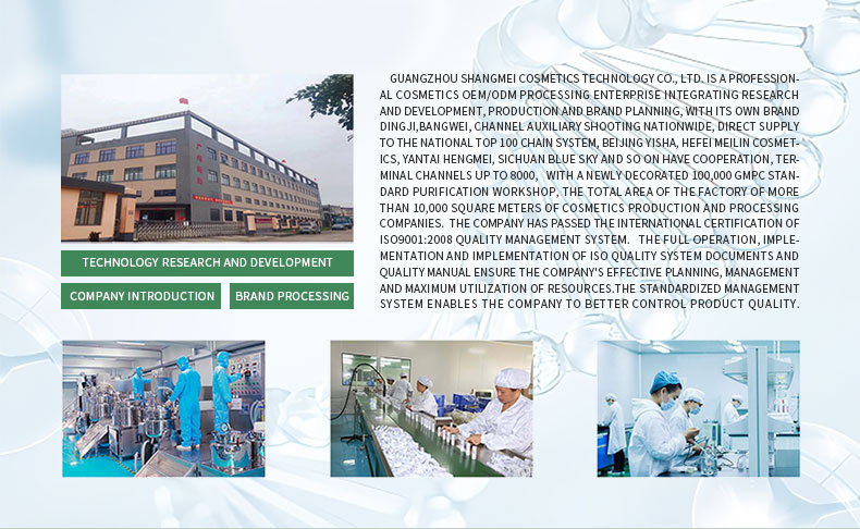 Company Overview 1