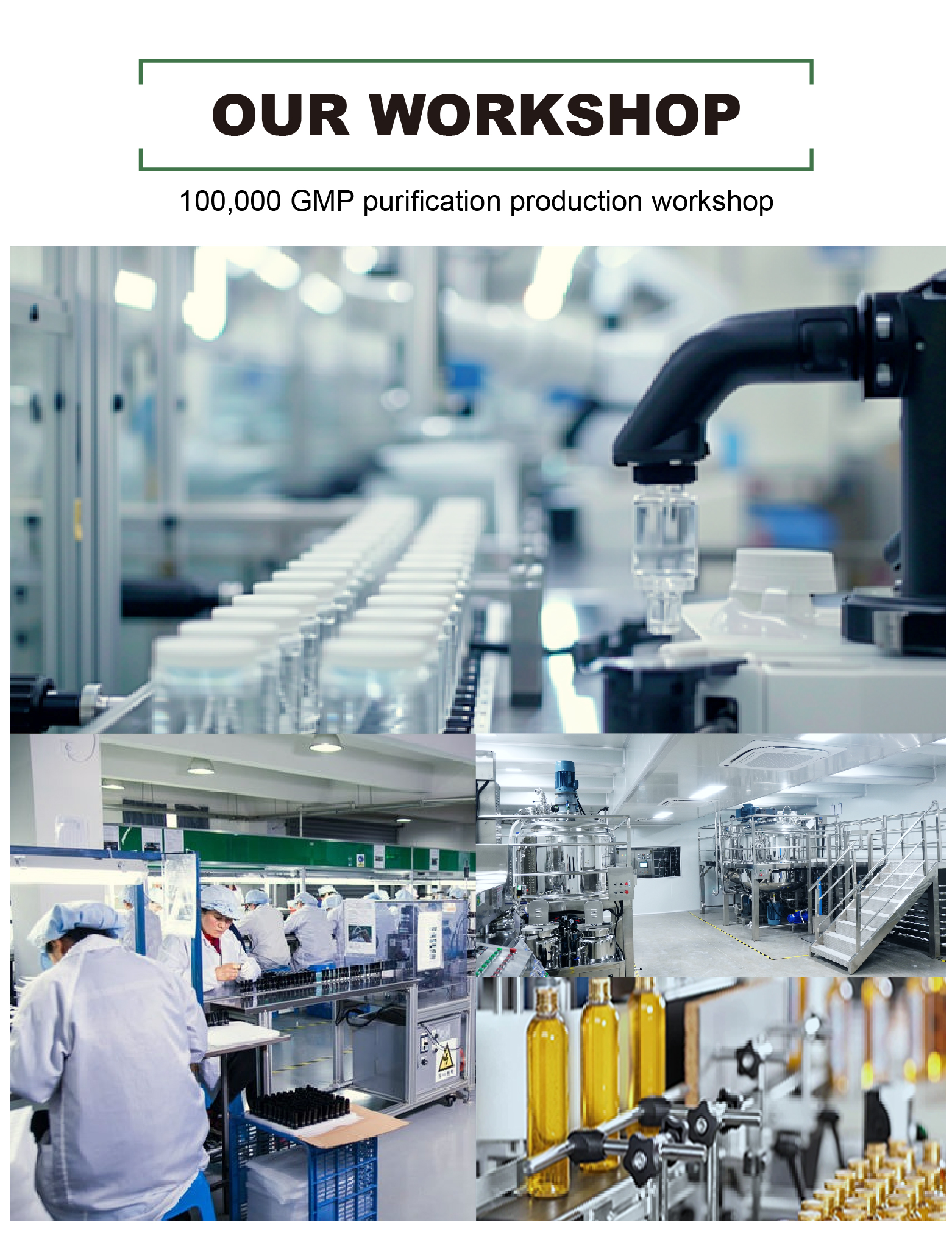 Production Process