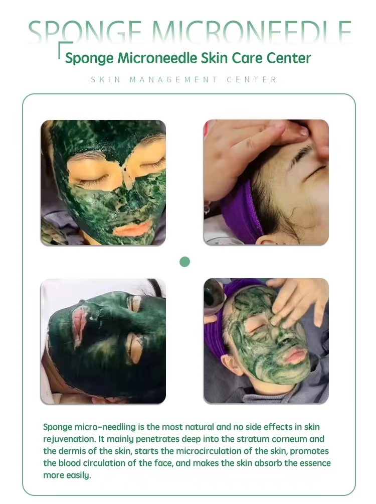 Massage Use Natural Bio Sponge Spicules Kit Acne Removal Full Face Spot Fade Treatment Alidina Green Kit Algae Peeling