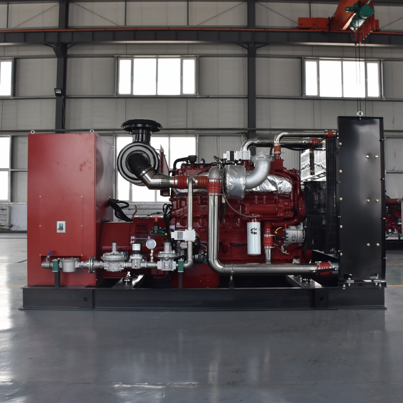 --250kw Planta de Energía de Biogás Natural Biomasa/LPG/CNG/Propano Metano Hidrógeno Doble Combustible Generador de Aguas Residuales Coke Syngas Generador de Gas de Madera Conjunto Generador de Syngas Precio de Fábrica