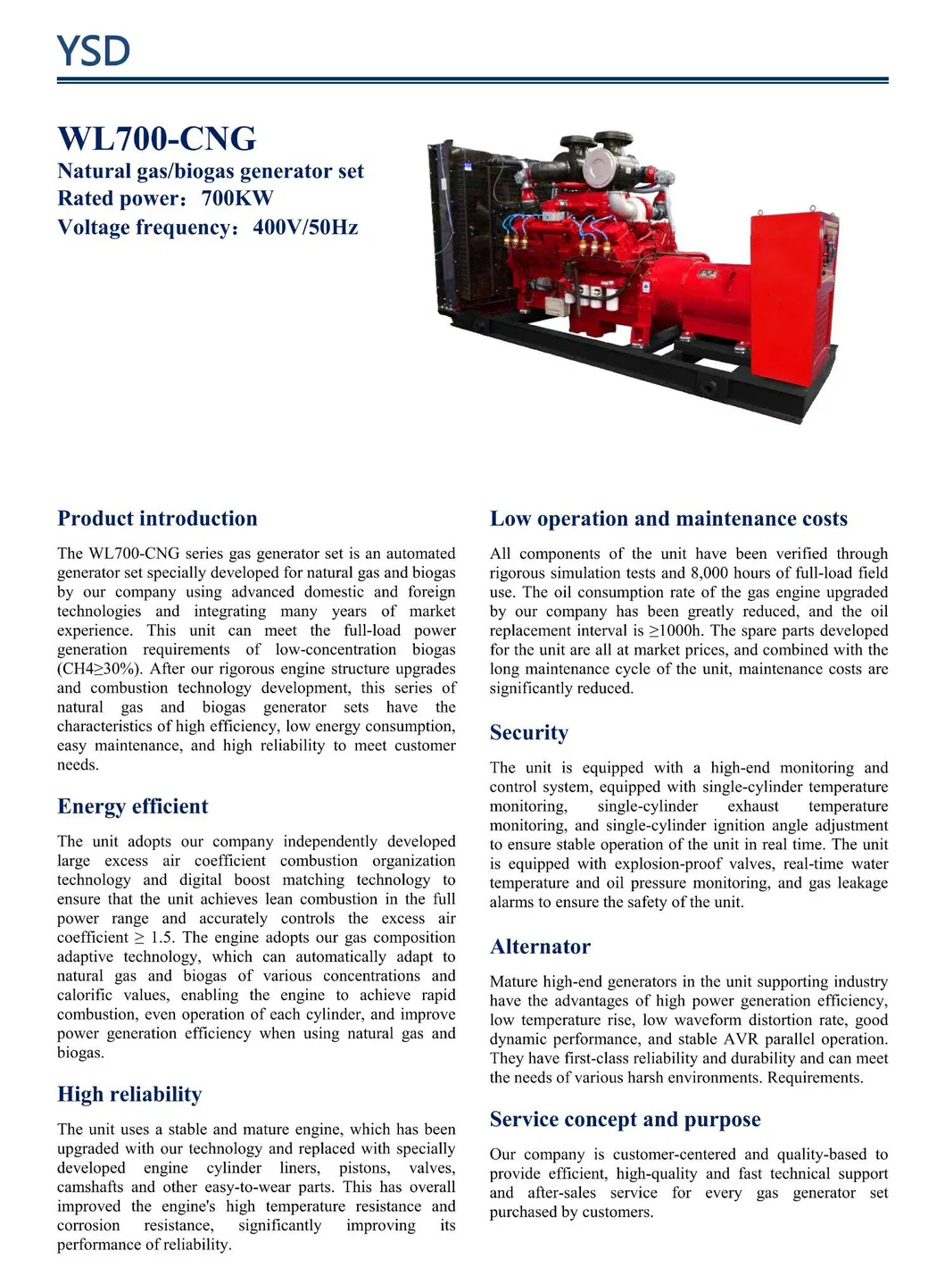 Estructura del grupo electrógeno de gas