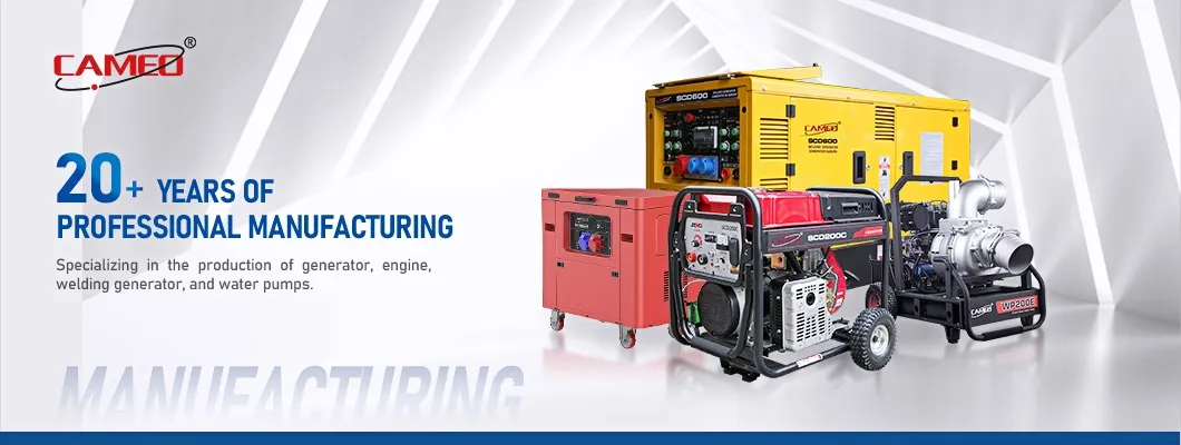 Generadores Eléctricos de Gasolina AC 230V Generador Portátil Diesel Generador de Doble Combustible
