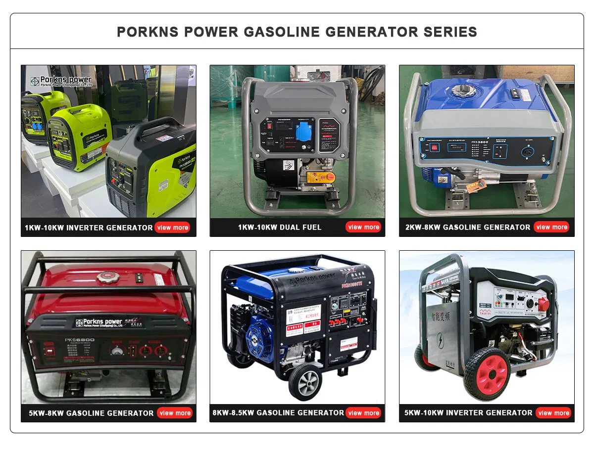 Detalle del Generador Eléctrico Portátil