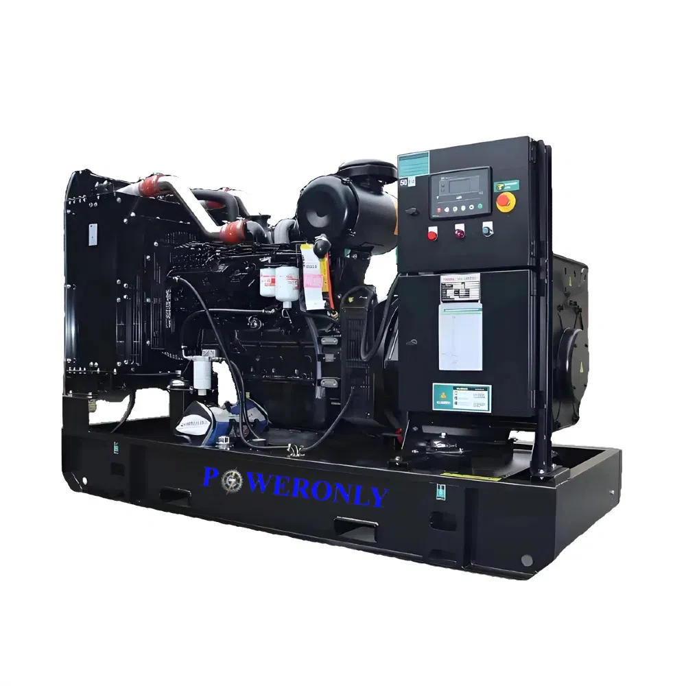 Generador Eléctrico Diésel Estacionario de Marco Abierto de Potencia Continua de Potencia Prima 275kVA