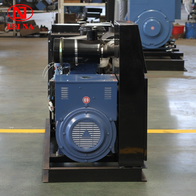 para Generador de Energía Diesel de Respaldo Comercial de Propiedad de Hogar con ISO9001 CE