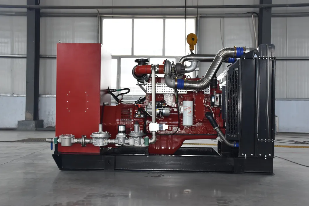 Generador de gas natural 2