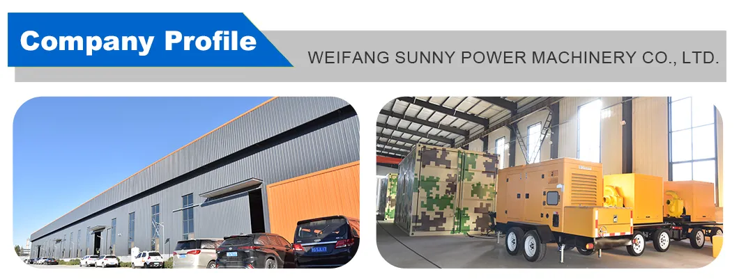 Unidad de Potencia Residencial Whisperquiet con Motor de EE. UU. y Opciones de Color Personalizadas