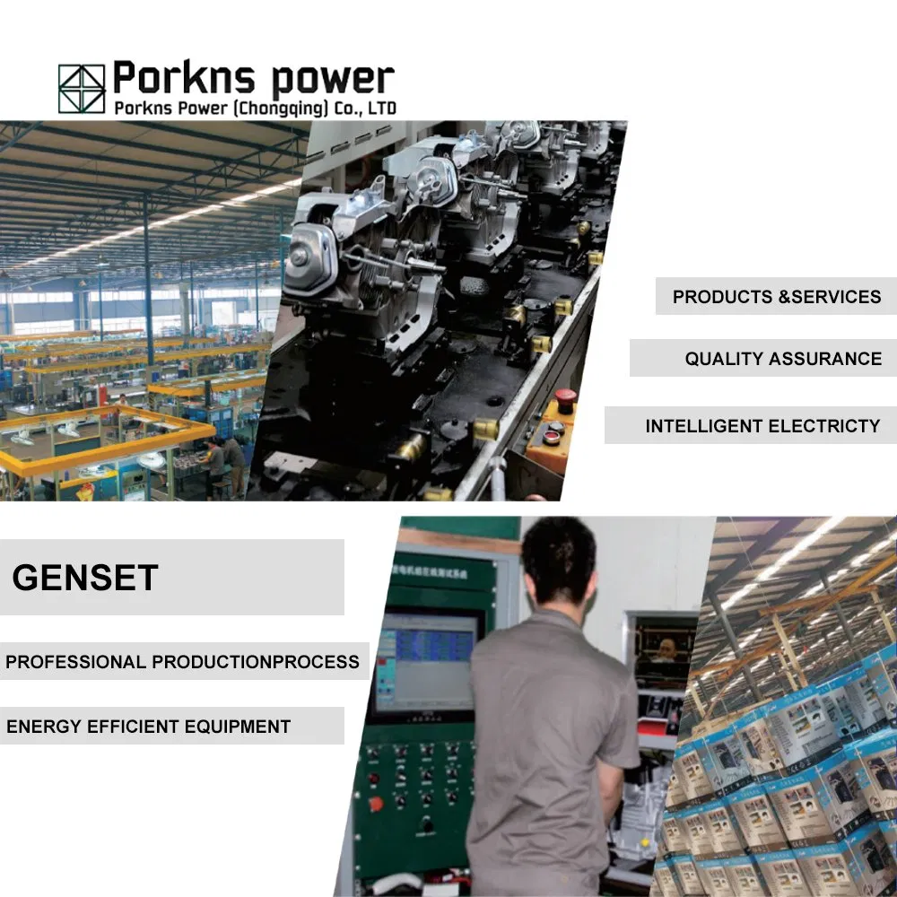 Generadores Diésel Portátiles Silenciosos Proveedores de Marco Abierto Pequeño 1 Fase 3 Potencia de Fase 2.25kVA 3.5 kVA 6.5kVA 9kVA 10kVA 11kVA 12kVA 13kVA 20kVA